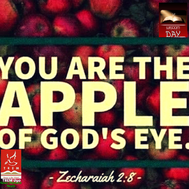 YOU ARE THE APPLE OF GOD’S EYE