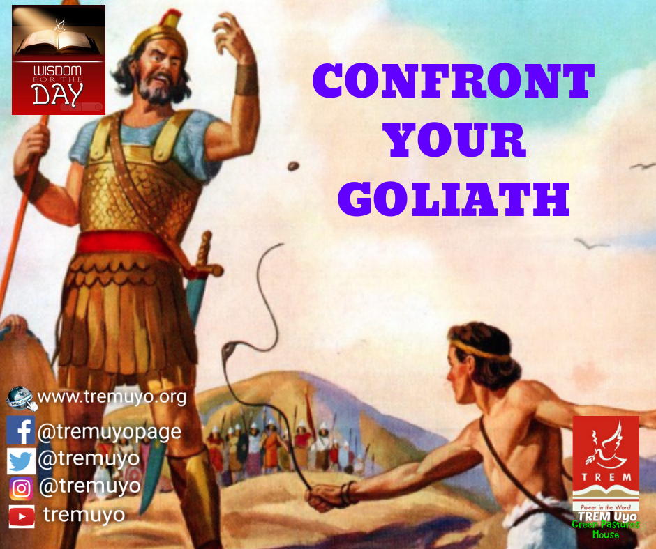 CONFRONT YOUR GOLIATH