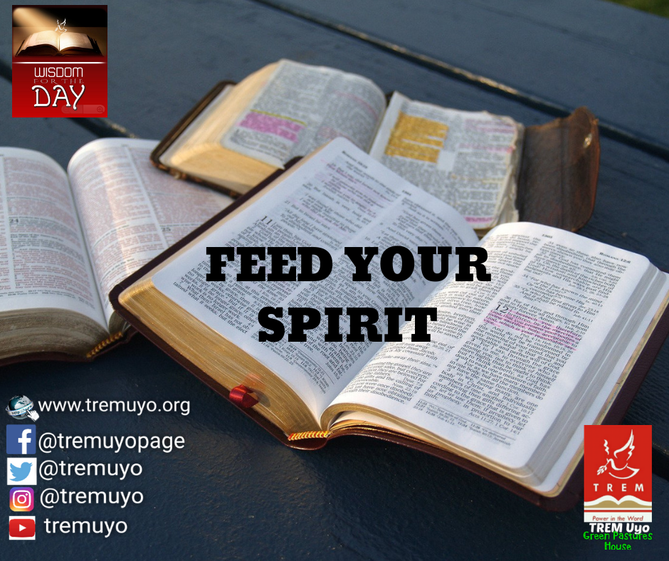 FEED YOUR SPIRIT