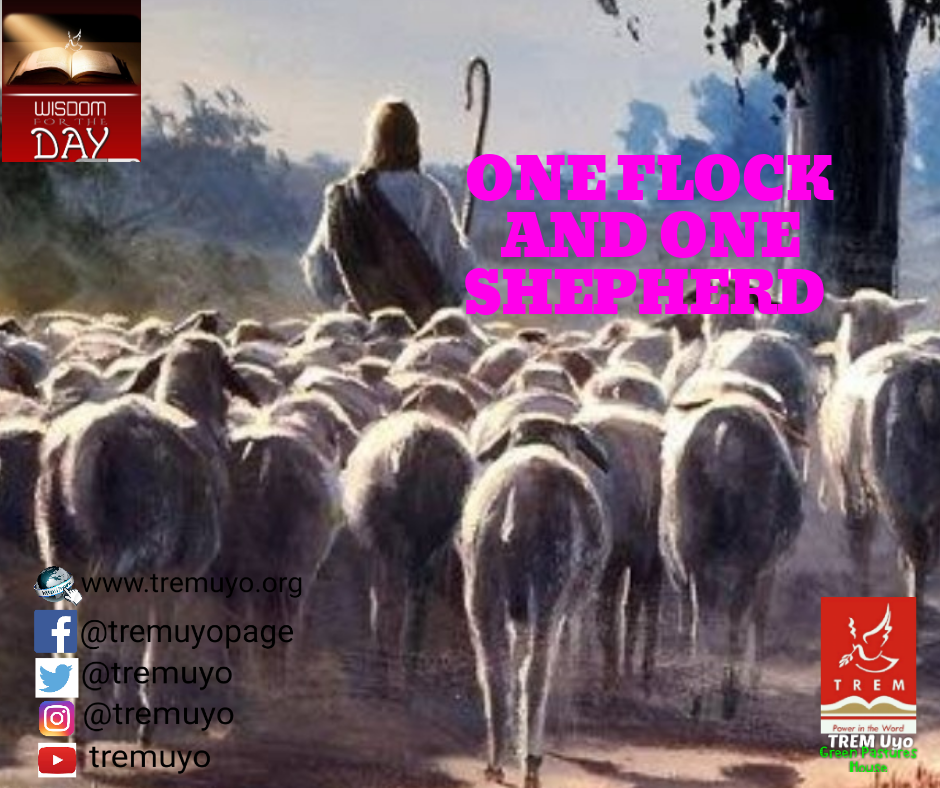 ONE FLOCK AND ONE SHEPHERD