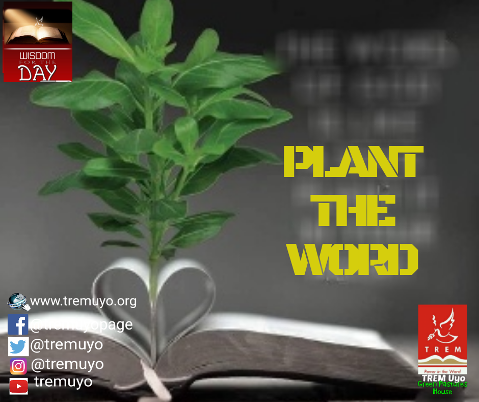 PLANT THE WORD