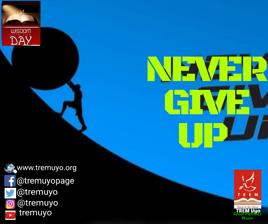 NEVER GIVE UP