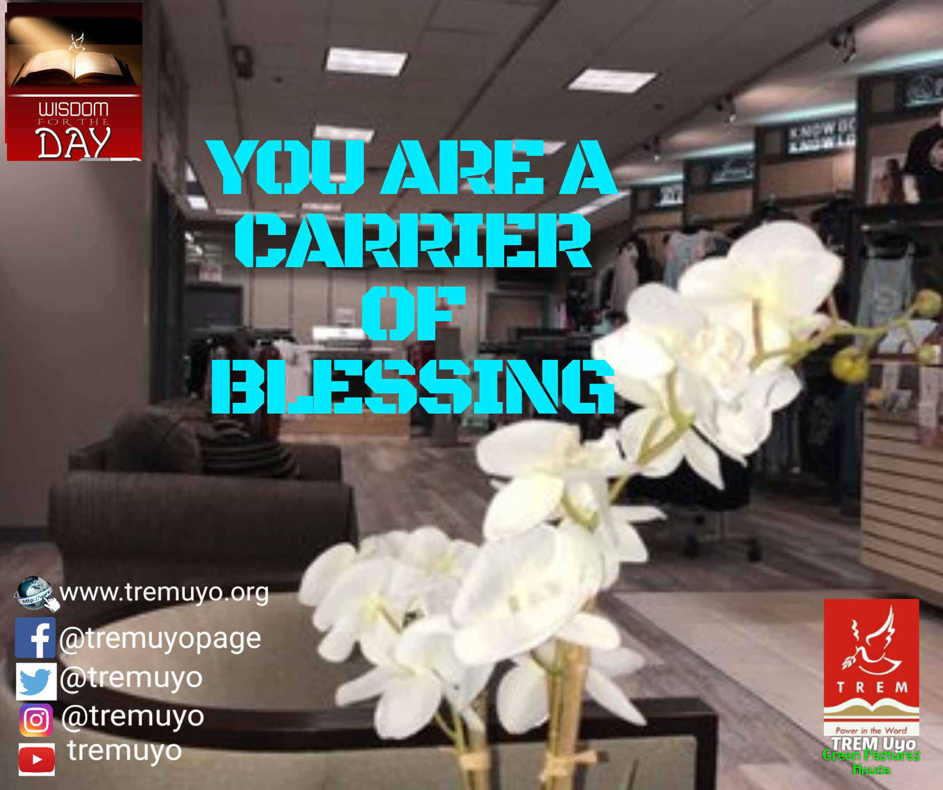 YOU ARE A CARRIER OF BLESSING